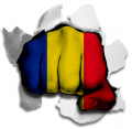 hulk ROMANIA Flag iron on transfer