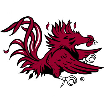 1983-Pres South Carolina Gamecocks Secondary Logo Decals Stickers