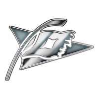 Carolina Hurricanes silver logo iron on transfer