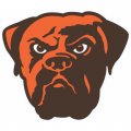 Cleveland Browns Alternate Logo Logo  Iron-on Stickers (Heat Transfers) version 1