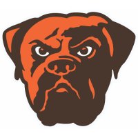 Cleveland Browns Alternate Logo Logo  Iron-on Stickers (Heat Transfers) version 1