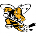 AIC Yellow Jackets 2009-Pres Alternate Logo Iron-on Stickers (Heat Transfers)