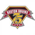 Boston Bruins Anniversary Logo  Iron-on Stickers (Heat Transfers)