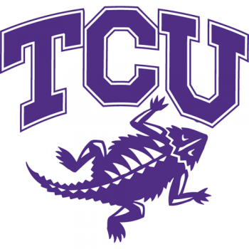 2001-Pres TCU Horned Frogs Alternate Logo Iron-on Stickers (Heat Transfers)